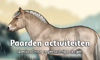Activiteiten met je paard voor regenachtige dagen