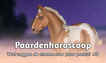Paardenhoroscoop: Wat zeggen de sterren over jouw paard?