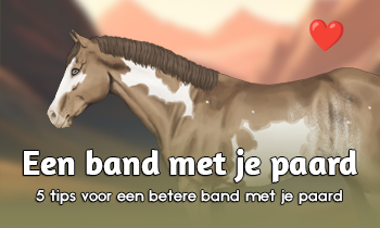 5 tips voor een betere band met je paard