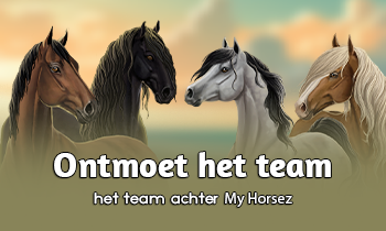 Ontmoet het team #1