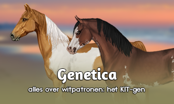 Genetica #17A: KIT