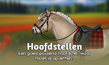 Een goed passend hoofdstel: waar moet je op letten?