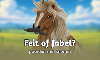 Paarden met snorren: Feit of fabel?
