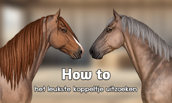 How To: Het leukste koppeltje uitzoeken