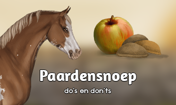 Paardensnoep do's en don'ts